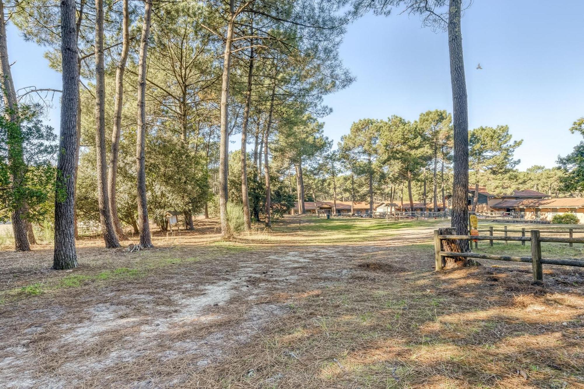 Au Calme Dans Les Pins Vakantiehuis